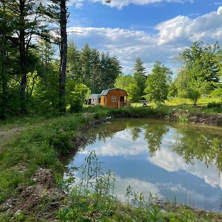 The Hideaway Tiny Cabin East Durham Zewnętrze zdjęcie